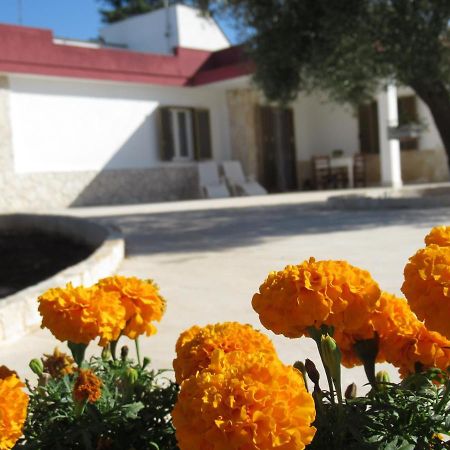 Casa Ale & Vinci Villa Monopoli Ngoại thất bức ảnh