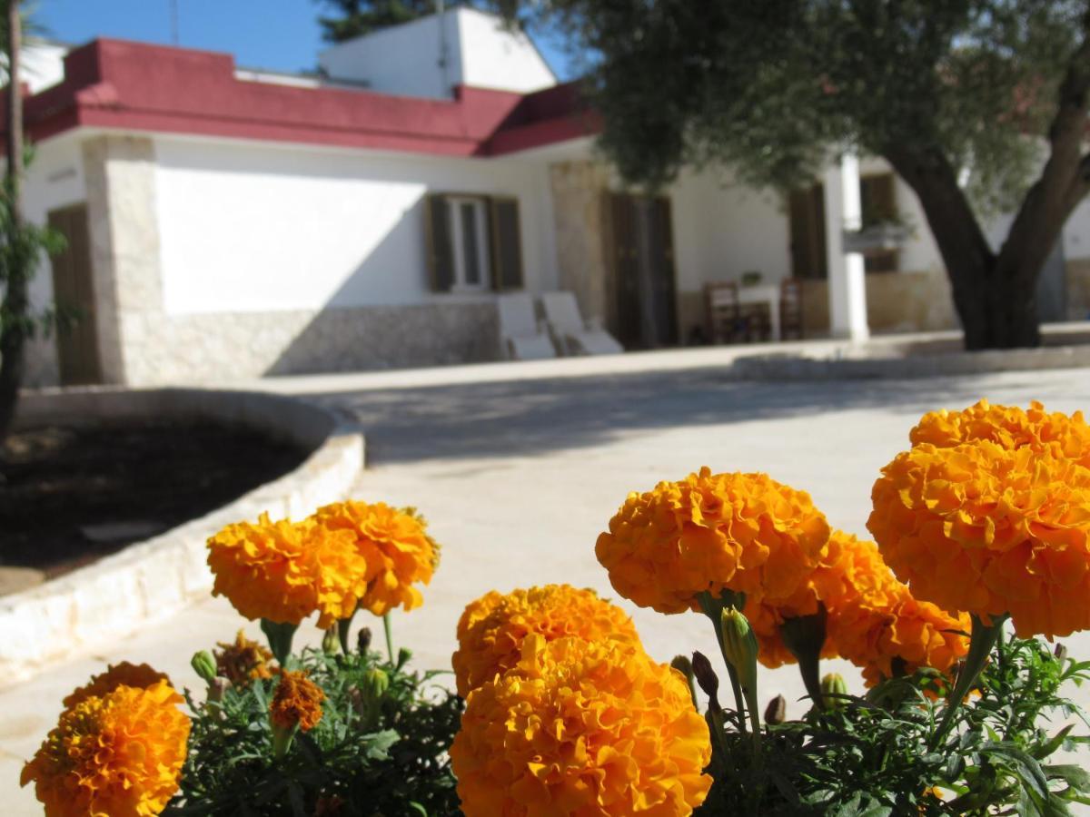 Casa Ale & Vinci Villa Monopoli Ngoại thất bức ảnh