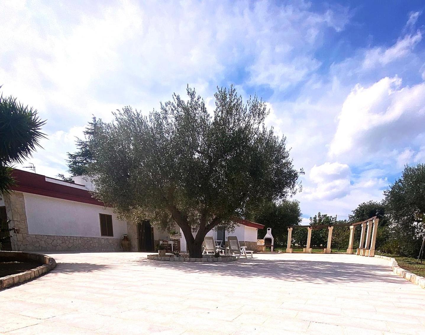 Casa Ale & Vinci Villa Monopoli Ngoại thất bức ảnh