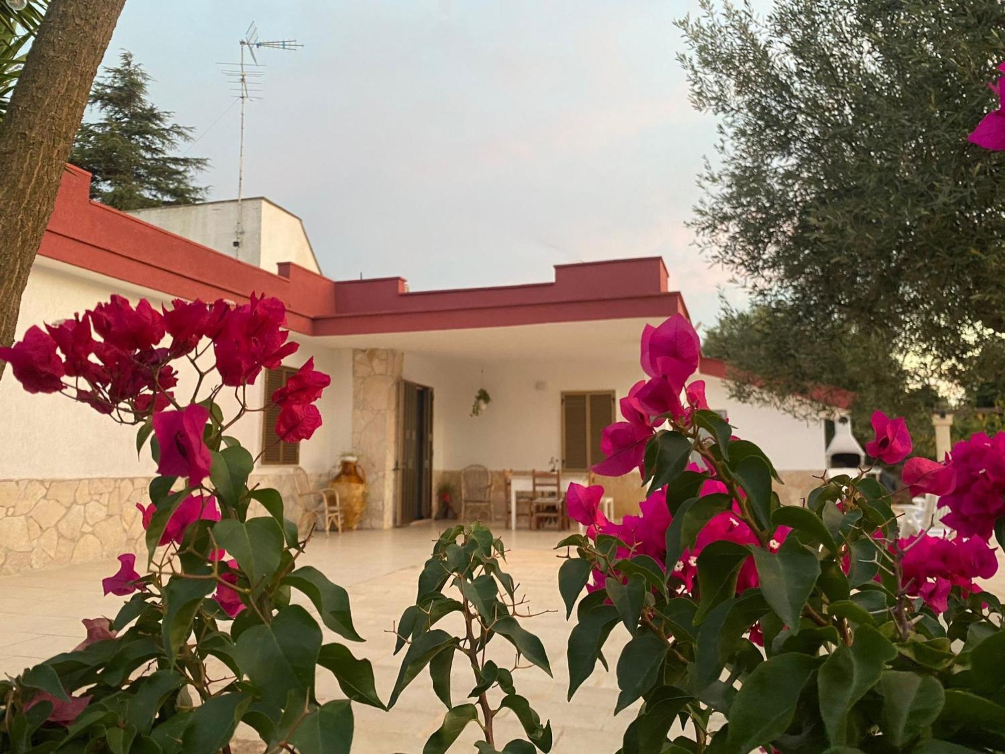 Casa Ale & Vinci Villa Monopoli Ngoại thất bức ảnh